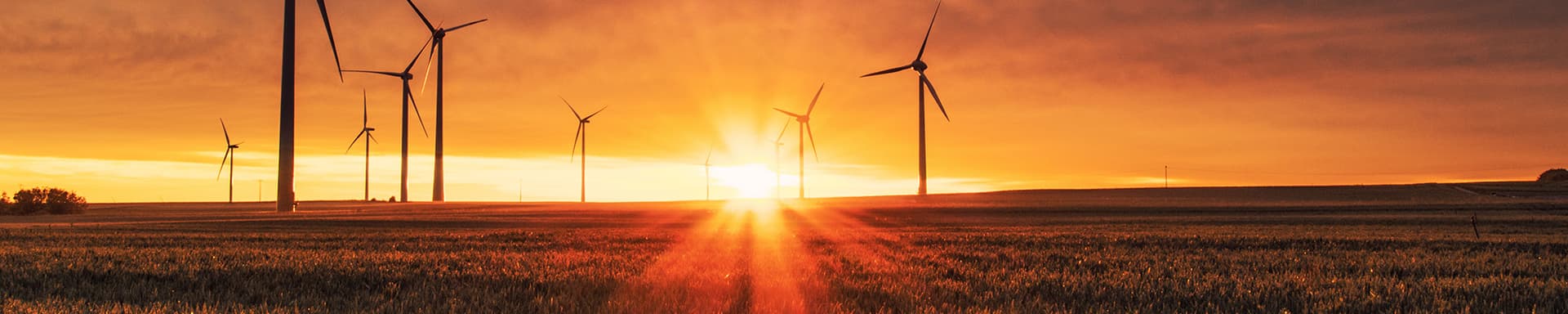 Energy & Utilities Hosting